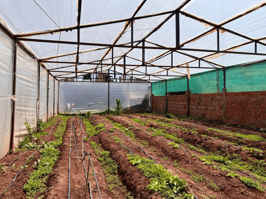 Photo of the Azul Wasi's garden